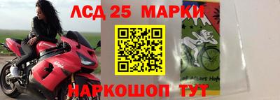 винт Новодвинск