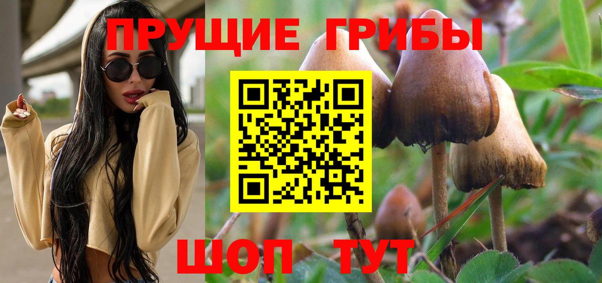 Псилоцибиновые грибы мухоморы Павлово