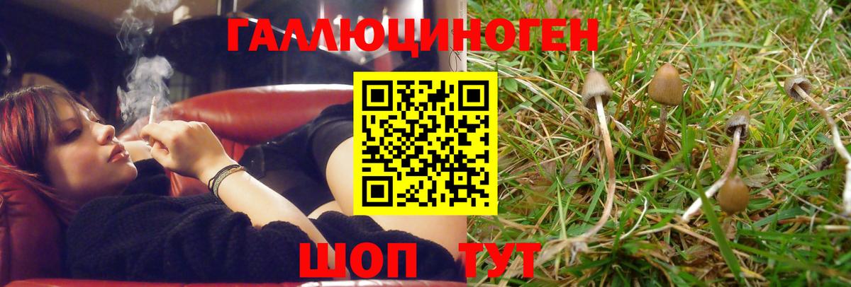 Павлово  Галлюциногенные грибы Magic Shrooms  Вход с VPN 